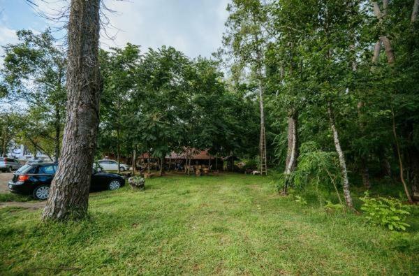 Shekhvetili Cottages 2N Esterno foto